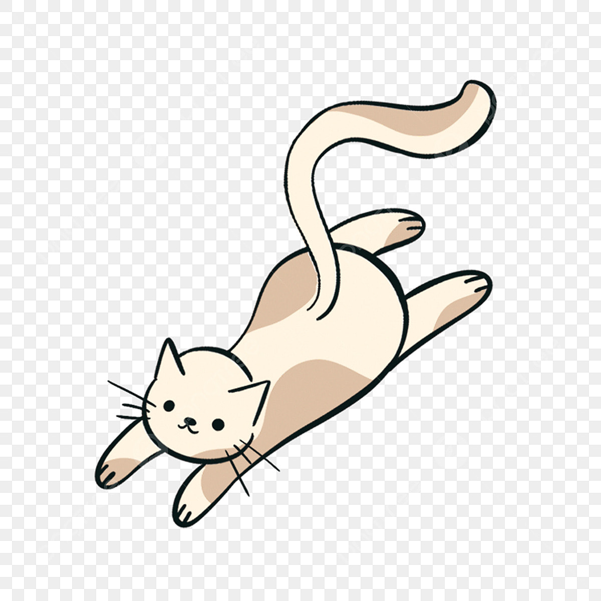 GATITO2